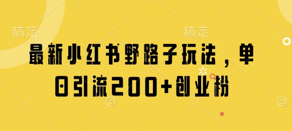 最新小红书野路子玩法，单日引流200 创业粉