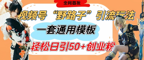 视频号“野路子”玩法，评论区疯狂截流，一套模板单日单号引流50 创业粉