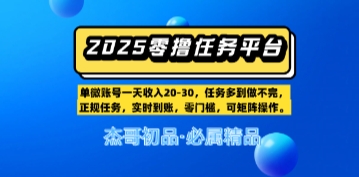 【零撸赚钱平台第二期】单账户一天工资20，任务多多到写不完，即时到账，零门槛，可引流矩阵实际操作|云雀资源分享