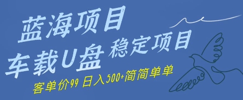 蓝海项目车载式U盘平稳新项目，赚的便是信息不对称，客单量99，日入多张很简单|云雀资源分享