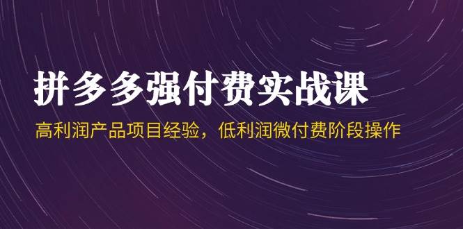 拼多多强付费实战课-44期，高利润产品项目经验，低利润微付费阶段操作|云雀资源分享