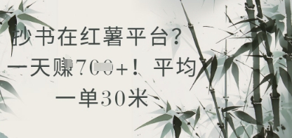 抄写在小红书服务平台？平均一单30米，一天盈利多张！|云雀资源分享