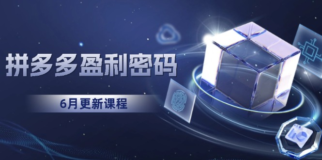 拼多多盈利密码：从烧钱推广到印钞模型，底层逻辑重构指南（6月更新）|云雀资源分享