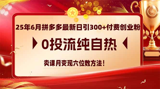 25年6月拼多多最新日引300 付钱自主创业粉，0投流纯自然 购买课程月转现六位数方式|云雀资源分享