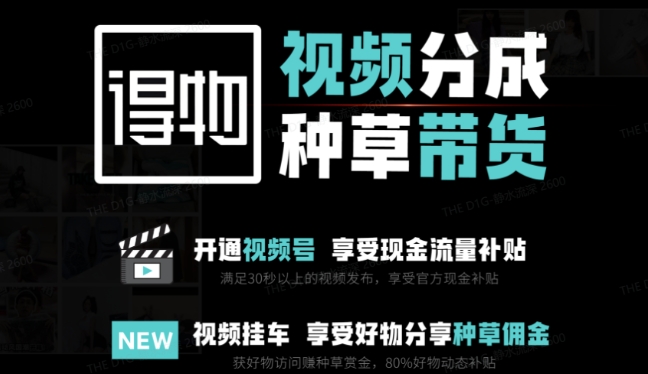 外边卖去1980得物双通道内存游戏玩法新项目拆卸，3-7天一个养号周期时间，每月最低有3k – 5k【揭密】|云雀资源分享