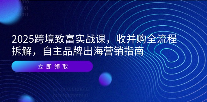 2025跨境电商发家致富实战演练课，收并购全过程拆卸，自有品牌出海营销手册|云雀资源分享