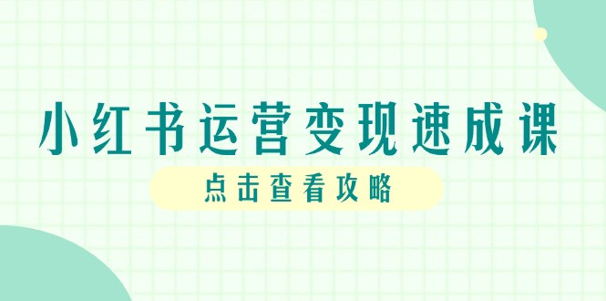 小红书运营转现速成课，账户构建到暴力行为养号，本人IP全过程手册|云雀资源分享