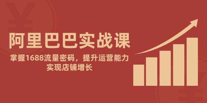 阿里巴巴实战课：掌握1688流量密码，提升运营能力，实现店铺增长|云雀资源分享