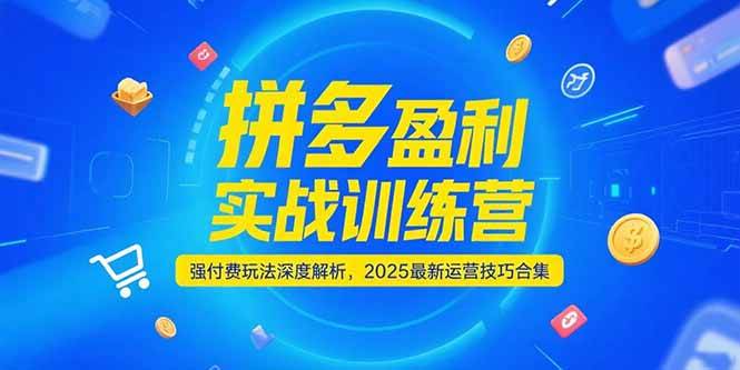 拼多多盈利实战训练营，强付费玩法深度解析，2025最新运营技巧合集|云雀资源分享