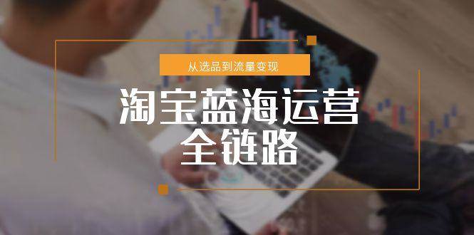 淘宝蓝海运营全链路，从选品到流量变现，小类目突围完整方案|云雀资源分享