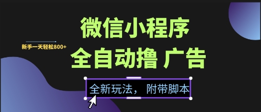 微信小程序全自动撸广告项目，彻底解决没流量的问题，新手一天8张+【揭秘】|云雀资源分享