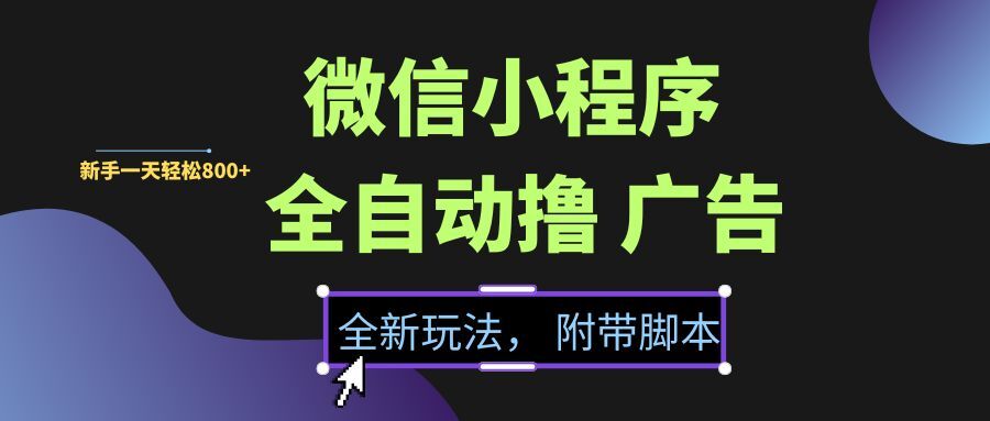 微信小程序挂机撸广告，全新玩法，新手一天轻松800+【附带脚本】|云雀资源分享