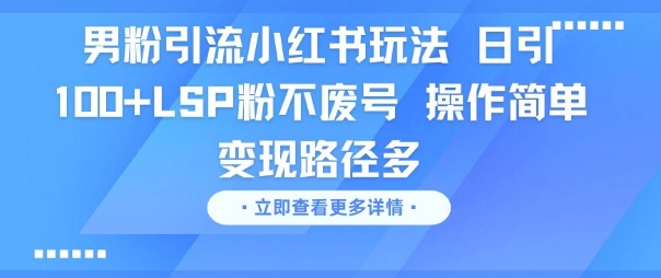 男粉引流小红书玩法，日引100+LSP粉不废号，操作简单，变现路径多|云雀资源分享
