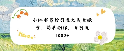 小红书男粉引流项目之美女账号6，简单制作，条条爆款原创，不违规|云雀资源分享