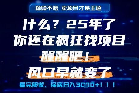 什么？25年你还在疯狂找项目做，醒醒吧，看完这些你全都懂了！【揭秘】|云雀资源分享