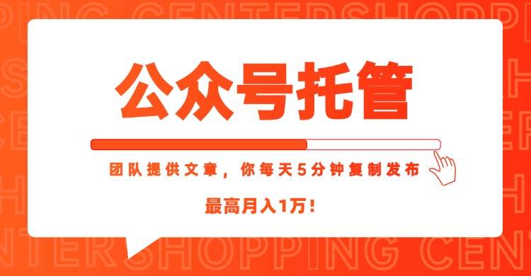 【公众号托管 】我提供文章，你每天５分钟复制发布，最高月入1W|云雀资源分享
