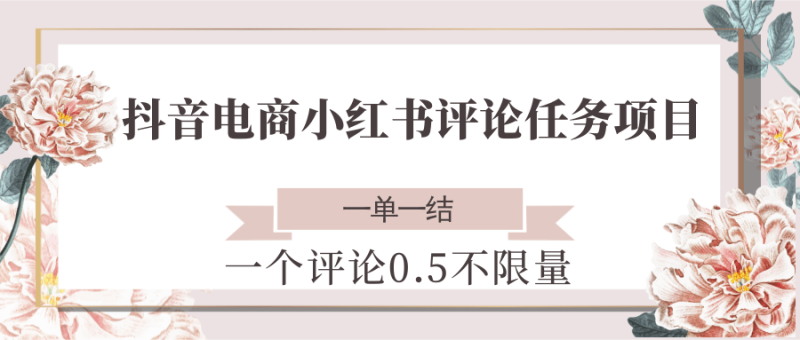 抖音电商小红书评论任务项目,一个评论0.5,一单一结 不限量|云雀资源分享