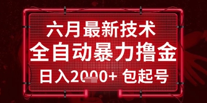 六月最新技术全自动暴力撸金，稳定日入2k+包起号，长期稳定【揭秘】|云雀资源分享