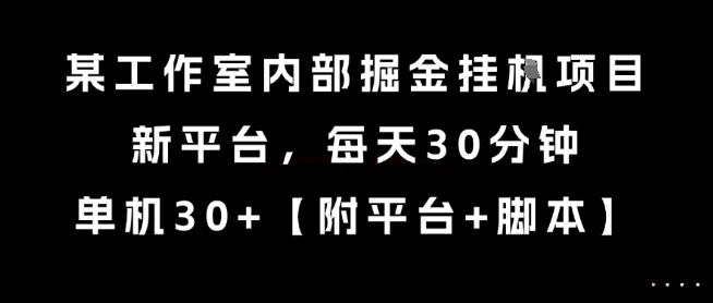某工作室内部掘金挂G项目，新平台，每天30分钟，单机30+【揭秘】|云雀资源分享
