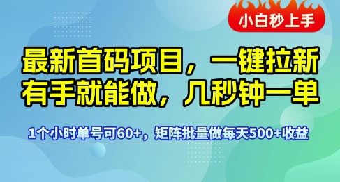 最新首码项目，一键拉新有手就能做，几秒钟一单，1个小时单号可60+，矩阵批量做每天5张【揭秘】|云雀资源分享