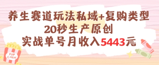 养生赛道玩法私域+复购类型，20秒生产原创实战单号月收入5k+|云雀资源分享