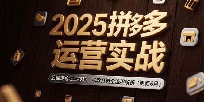2025拼多多运营实战：店铺定位选品技巧，爆款打造全流程解析（更新6月）|云雀资源分享