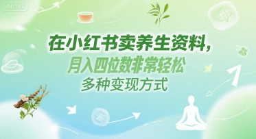 在小红书卖养生资料，月入四位数非常轻松，多种变现方式|云雀资源分享
