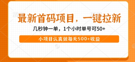 最新首码项目，操作最简单，收益高，一键拉新，1个小时单号可50+，小项目认真做每天5张+收益【揭秘】|云雀资源分享