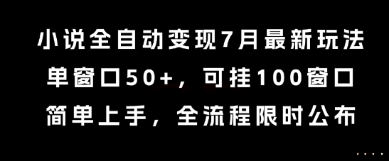 小说全自动变现7月玩法，单窗口50+，可挂100窗口，简单上手，全流程限时公布【揭秘】|云雀资源分享