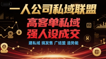 一人公司私域联盟，高客单私域，强人设成交，建私域 搞发售 广结盟 造势能|云雀资源分享