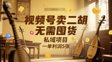 视频号卖二胡，无需囤货，私域项目，一单利润5张|云雀资源分享