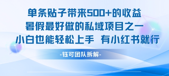 单条贴子带来5张的收益，暑假最好做的私域项目之一，小白也能轻松上手，有小红书就行|云雀资源分享