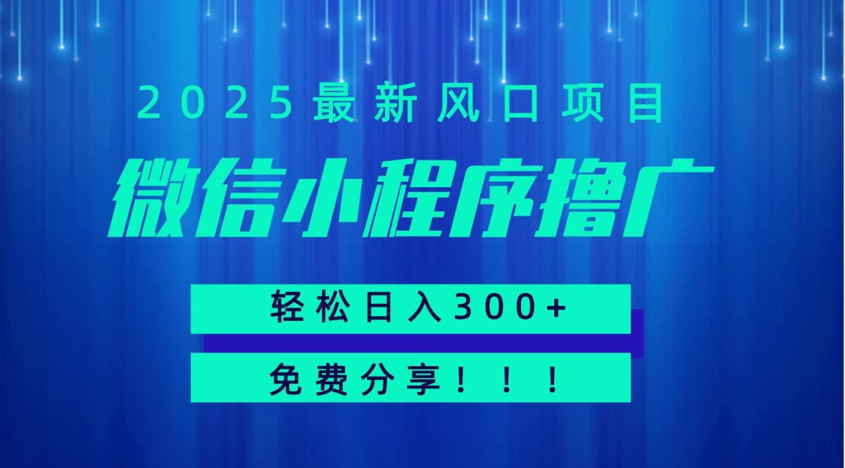 微信小程序撸广，最新风口项目，日入300+ 免费分享 可批量操作 小白可轻松上手！！|云雀资源分享