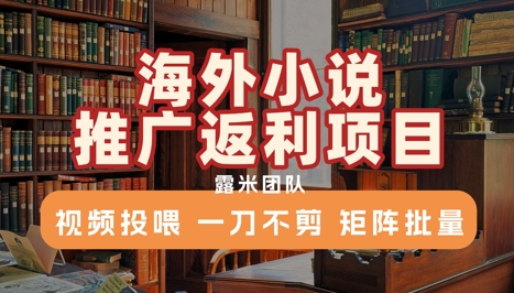 海外小说推广返利项目，视频投喂， 一刀不剪，矩阵批量|云雀资源分享