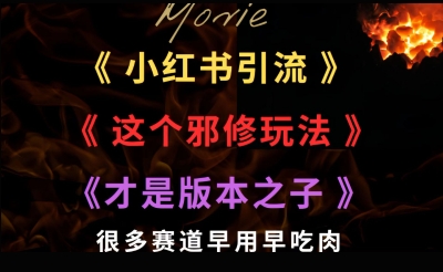 最近小红书引流这个邪修玩法才是版本之子，很多赛道早用早吃肉|云雀资源分享