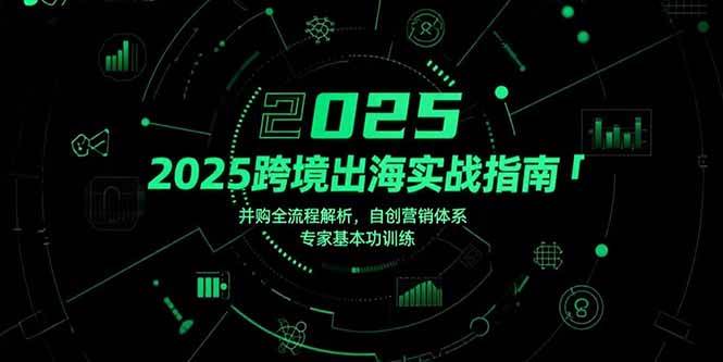 2025跨境出海实战指南，并购全流程解析，自创营销体系，专家基本功训练|云雀资源分享