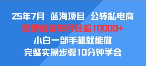 25年7月蓝海项目，公转私电商，随便做做单月轻松1w，小白一部手机就能做，完整实操步骤10分钟学会|云雀资源分享