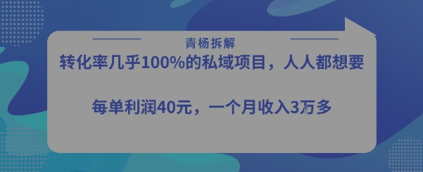 转化率最高的私域项目，每单利润40-50米，月入过1w|云雀资源分享