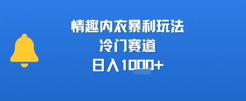 情趣内衣暴利玩法，冷门赛道，日入1k+|云雀资源分享