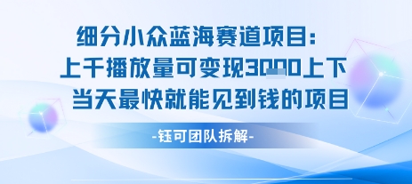 小众蓝海赛道项目：当天变现1k+适合新手操作 +适合长期玩|云雀资源分享