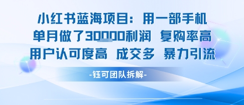 小红书蓝海项目，一部手机单月做了3W利润，小白也能月入过1W用户认可度高成交多|云雀资源分享