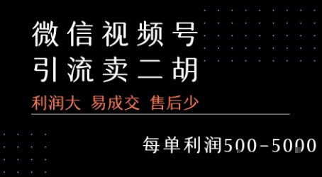 视频号卖二胡教程，利润大 易成交 售后少，一单利润5张+|云雀资源分享