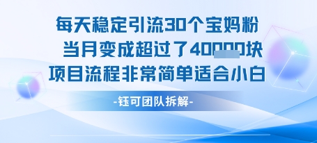 每天稳定引流30个人 当月变成超过了4个W项目流程非常简单适合小白|云雀资源分享