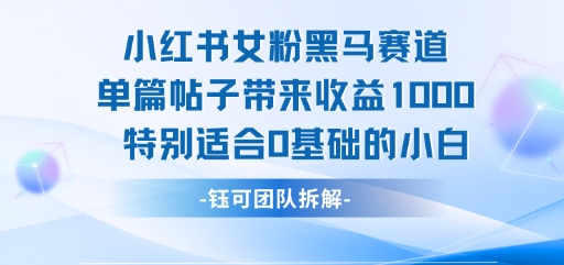 小红书女粉黑马赛道单篇帖子带来收益1k+，特别适合0基础的小白|云雀资源分享