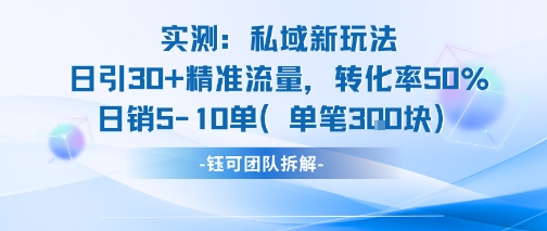 实测私域新玩法日引30加精准流量转化率50%日销5-10单每笔3张|云雀资源分享