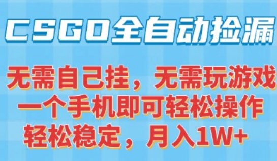 CSGO自动捡漏项目，最新独家玩法，一个手机可操作，新手小白轻松月入1W+，操作简单易上手【揭秘】|云雀资源分享
