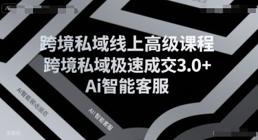 跨境私域线上高级课程，跨境私域极速成交3.0+Ai智能客服|云雀资源分享