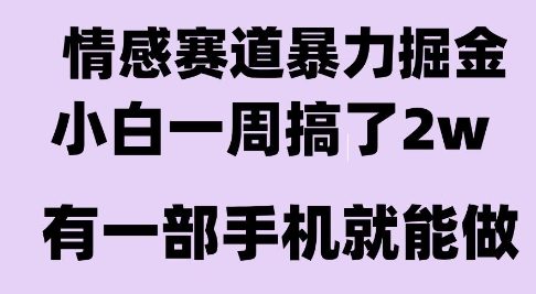 情感暴力掘金项目，新人操作一周挣了2W，长期稳定小白可做【揭秘】|云雀资源分享