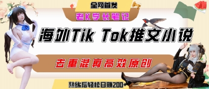 海外tiktok小说推文暴力项目，高停留率，高转化率，上手后一天搞顿饭钱不是问题|云雀资源分享