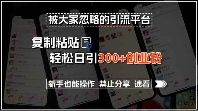 被大家忽略的引流平台，复制粘贴轻松日引300+创业粉，新手也能操作，禁…|云雀资源分享